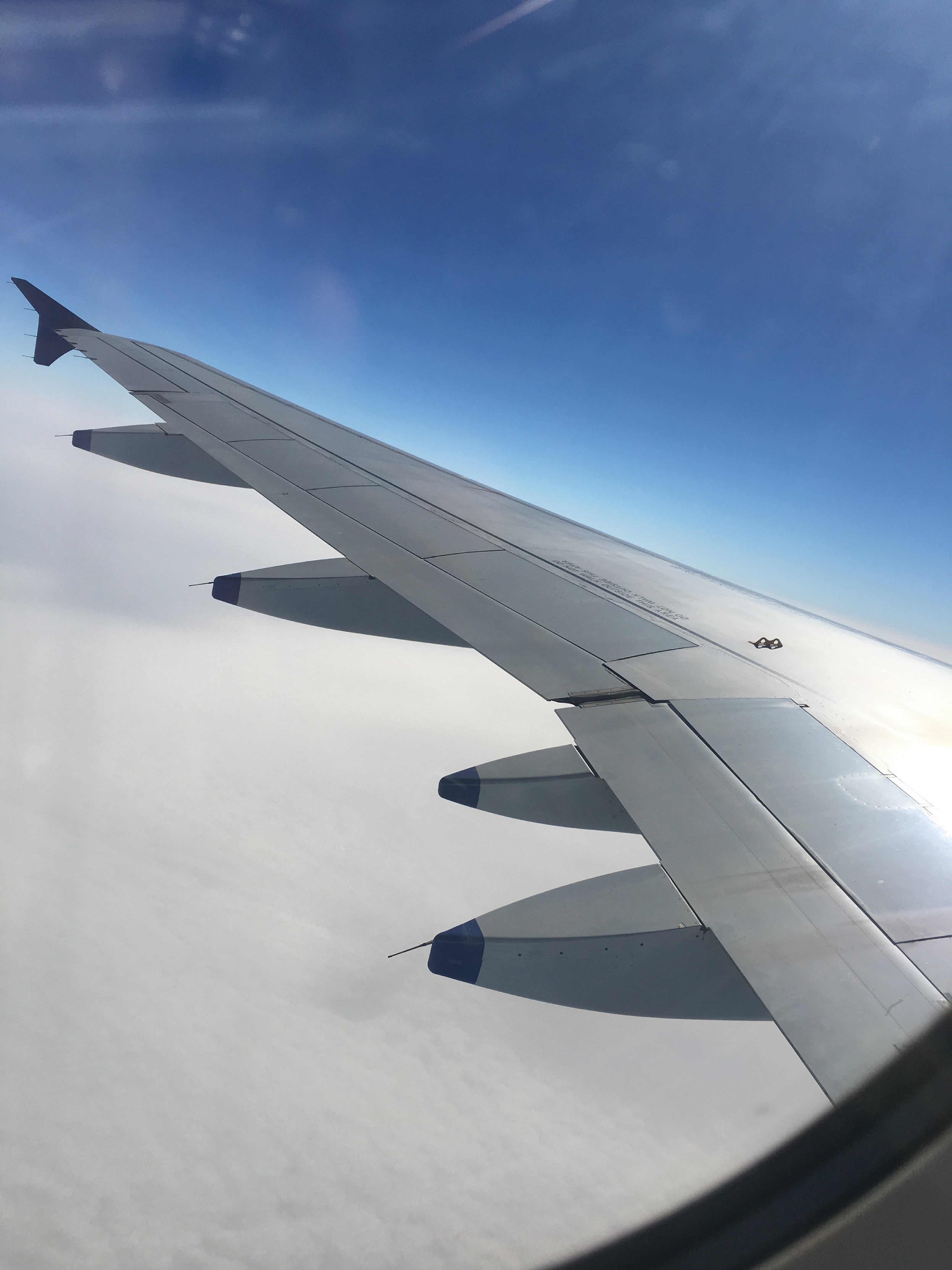 The wings of a plane